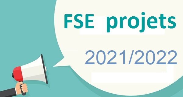 FSE Projets.jpg